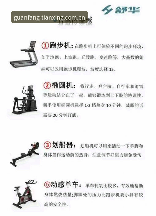 天行体育使用教程：3个核心步骤+5大功能深度解析